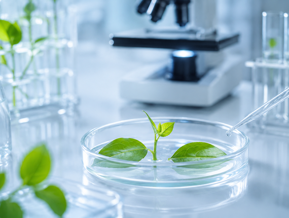 Journal of Biotechnology and Biomedicine